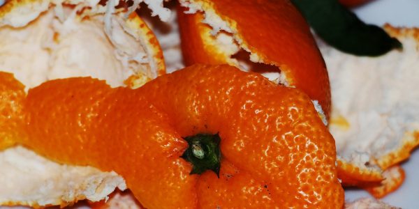 orange-peel-517567_1280